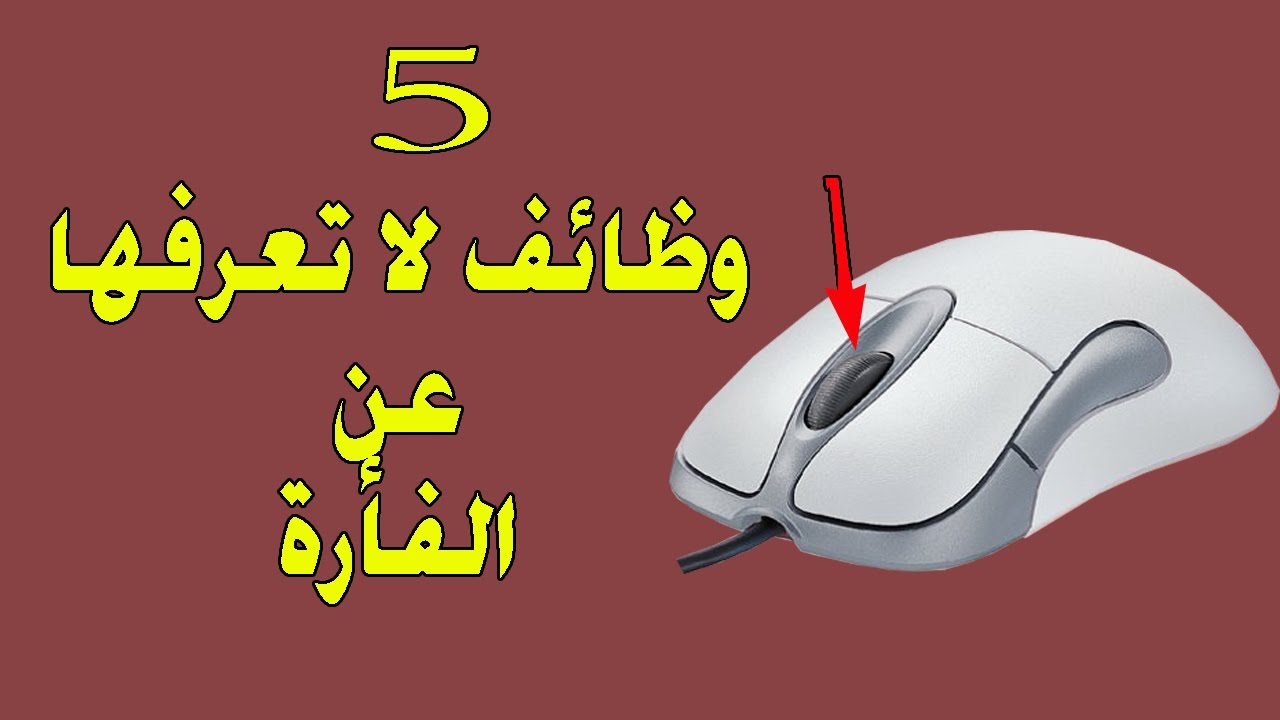 خمسة وظائف لا تعرفها عن الفأرة ستساعدك في عملك