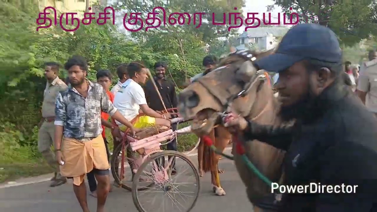 திருச்சி குதிரை பந்தயம் 