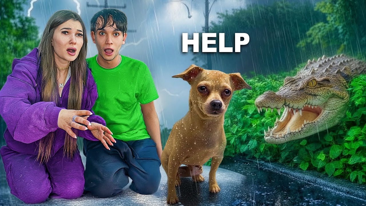 We Rescued Our Dog From a ALLIGATOR ATTACK!
