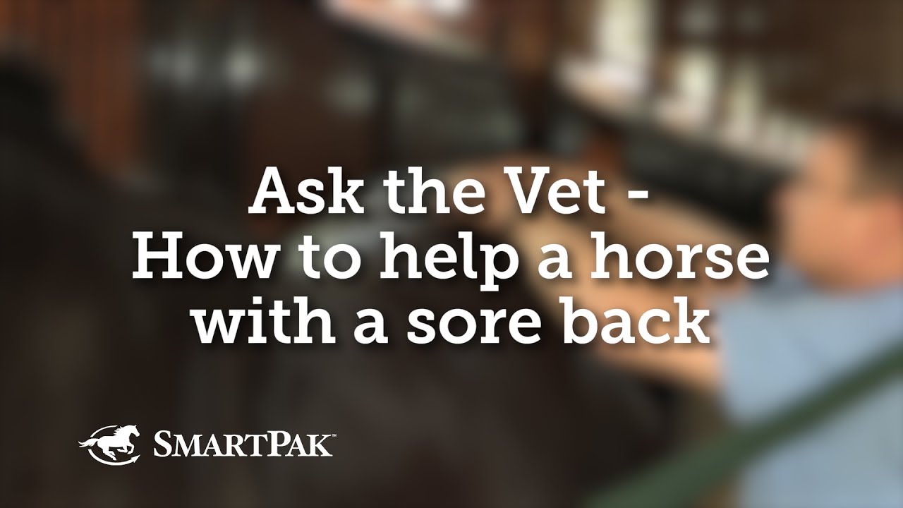 Ask the Vet - How to help a horse with a sore back