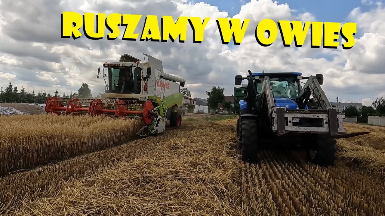 HEDER SKŁADANY DO LEXA💪RUSZAMY W OWIES🌾Agro Dni&oacute;wka #406