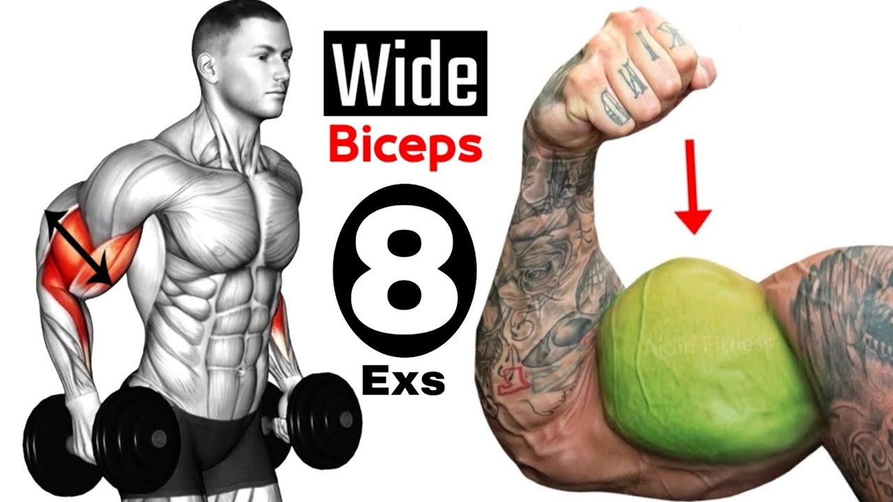 8 Big Biceps Workout Routine - Big Biceps Routine