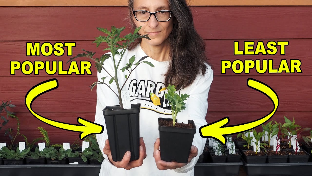 Most and Least Popular Plant Starts