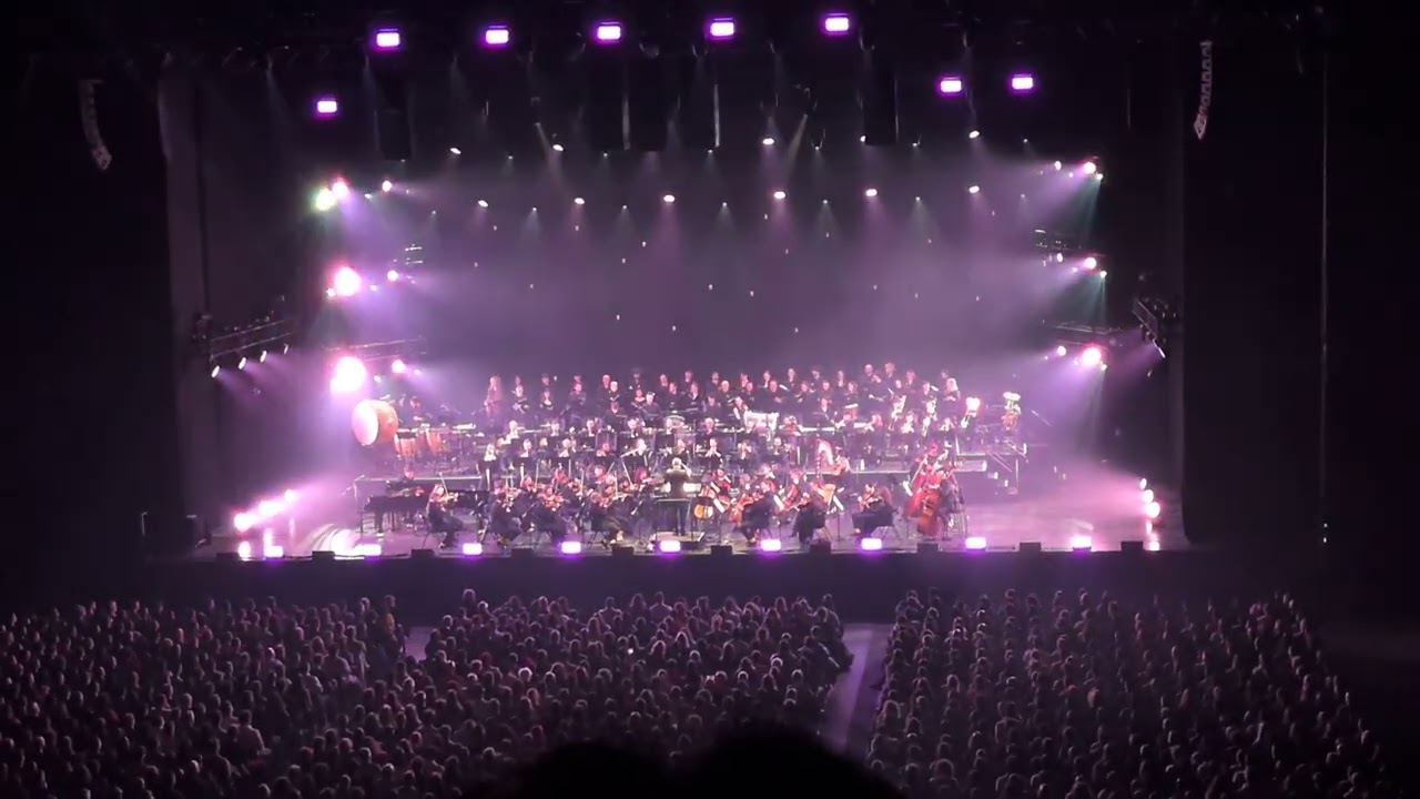 Yellow Socks Orchestra - Ponyo