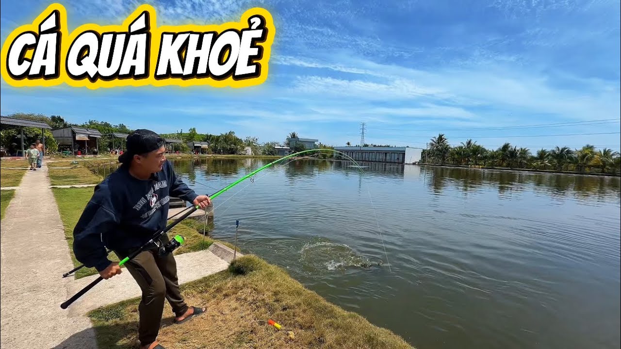 ✅ Mùng 3 tết ghé thăm hồ cá khủng nhất Việt Nam | DUY FISHING SAI GON
