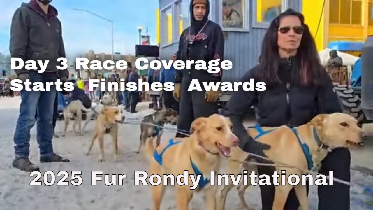 Alaska's Famous Fur Rondy Race LIVE - Final Day Drama of the 2025 Invitational Sled Dog Race