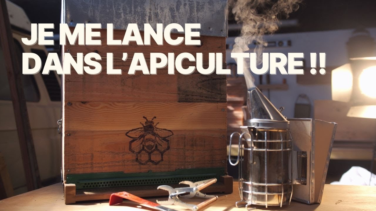 Pourquoi j’ai décidé de devenir apiculteur ? (carnet de bord #1)
