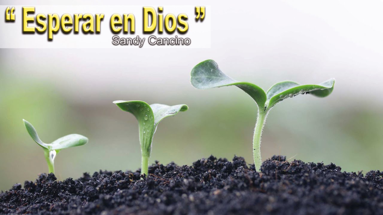 240416 - Esperar en Dios - Sandy Cancino