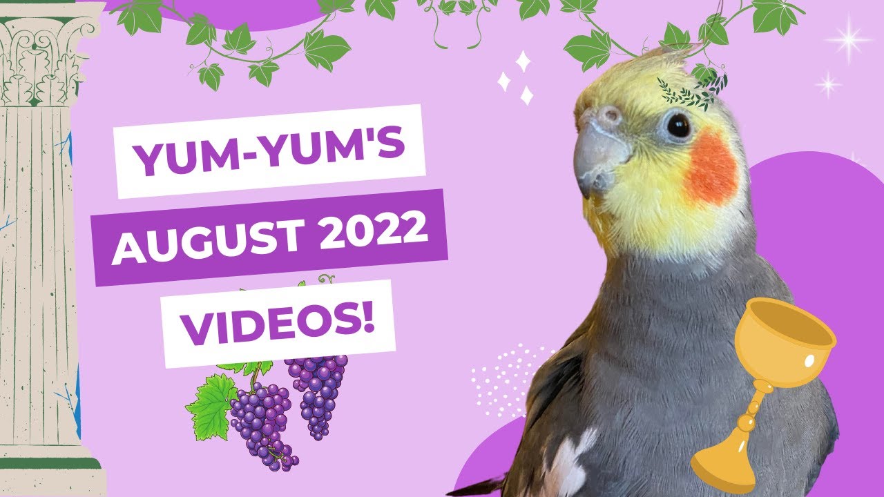 YumYum’s August Videos