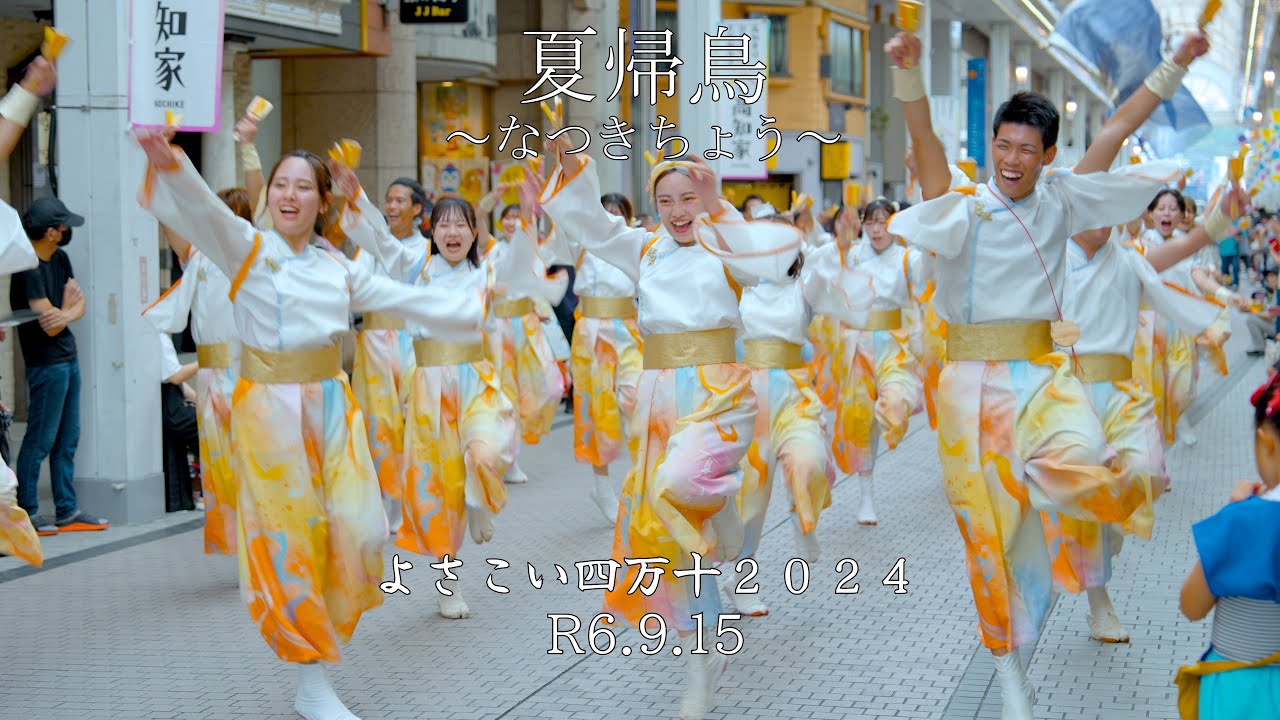夏帰鳥～なつきちょう～ 　よさこい四万十２０２４　４K映像
