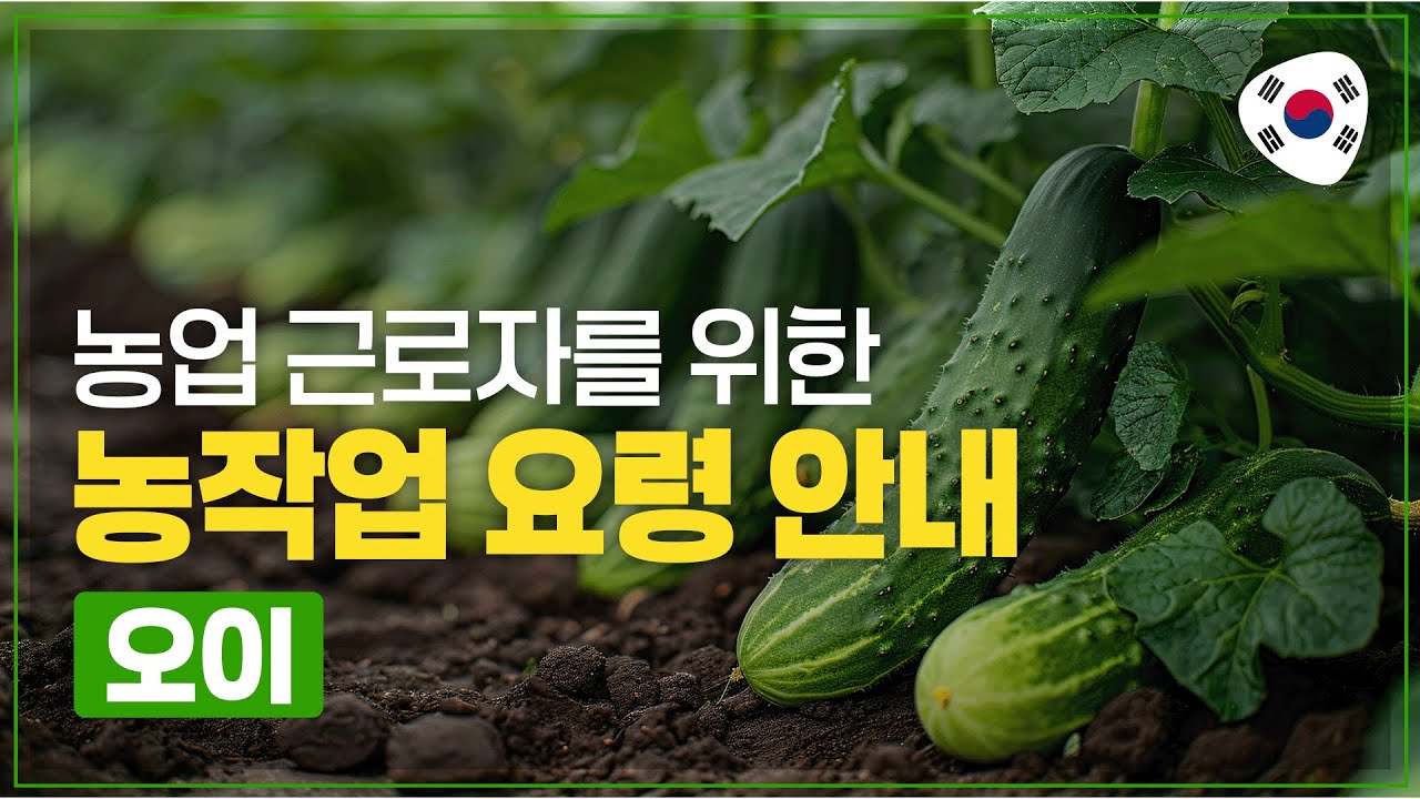 농업 근로자를 위한 농작업 요령 안내 - 오이