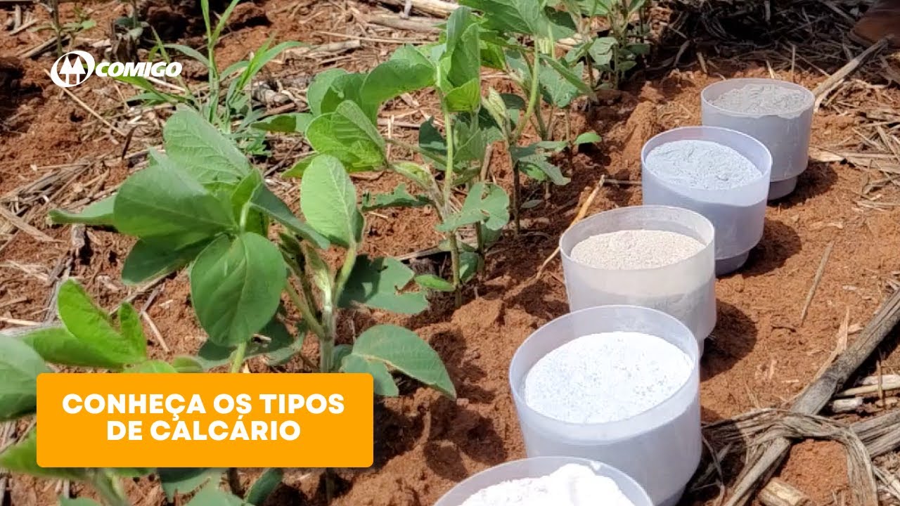 Conheça os diferentes tipos de calcário