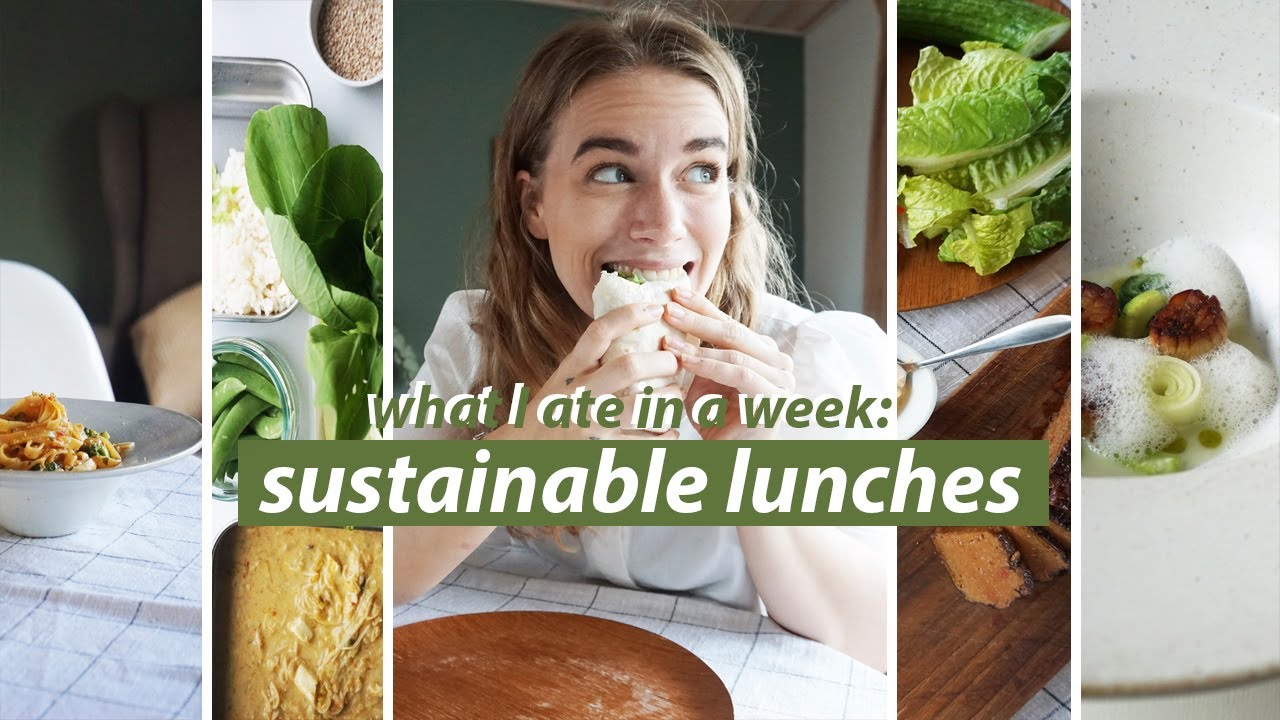 a week of low waste lunches // vegan recipes and easy meals