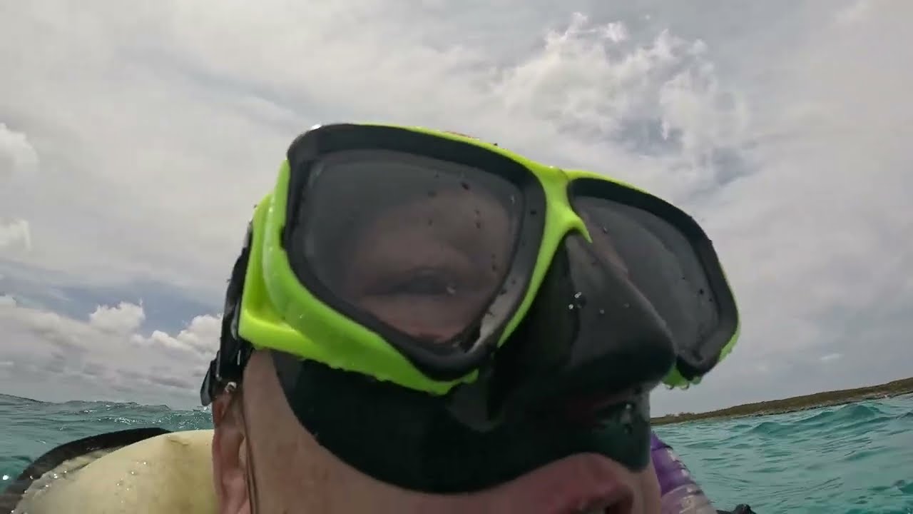 Catamaran Sail & Reef Snorkel with Open Bar Nassau