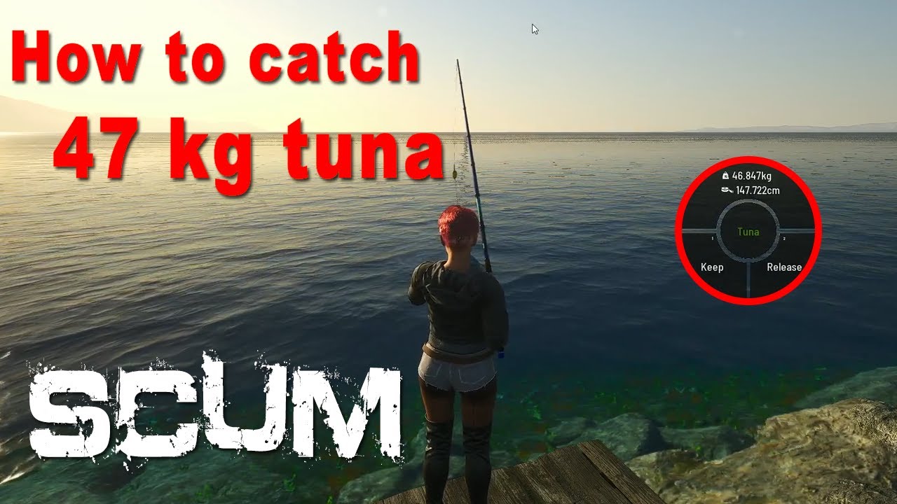 SCUM - tuna catch 46 kg