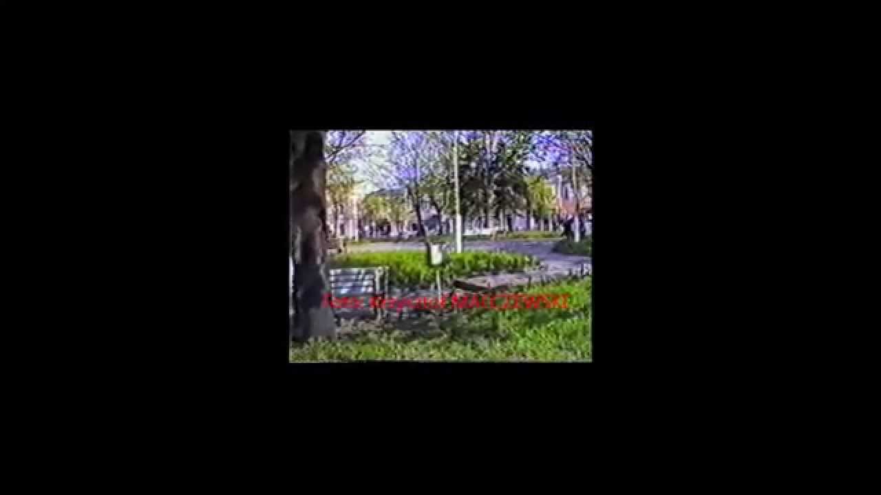 Czeladź lata 80-te XX wieku rynek 1988 r
