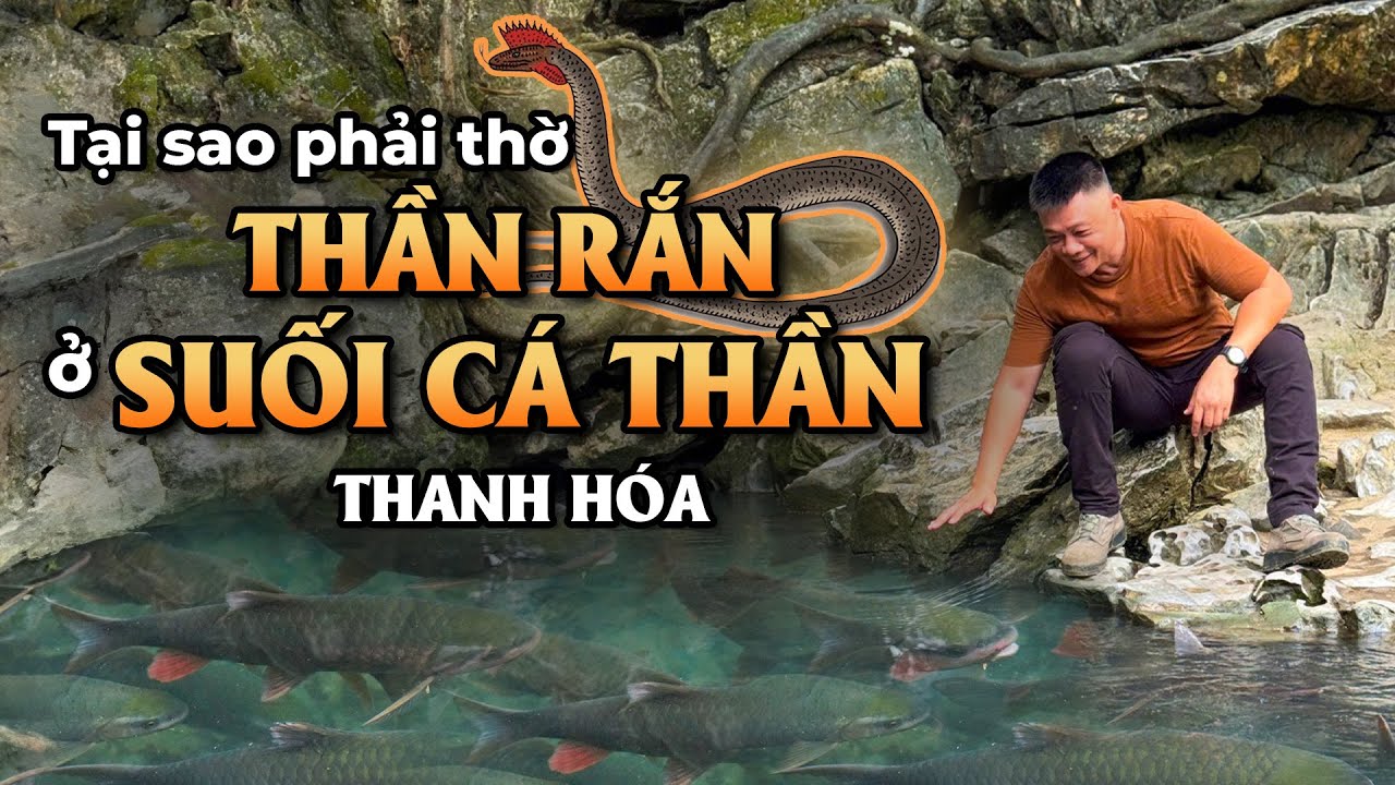 Tại sao thờ THẦN RẮN ở SUỐI CÁ THẦN Thanh Hoá