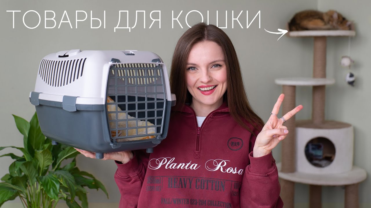 ЧТО Я КУПИЛА КОШКЕ ЗА ГОД: нужно ли это? Обзор товаров для питомца