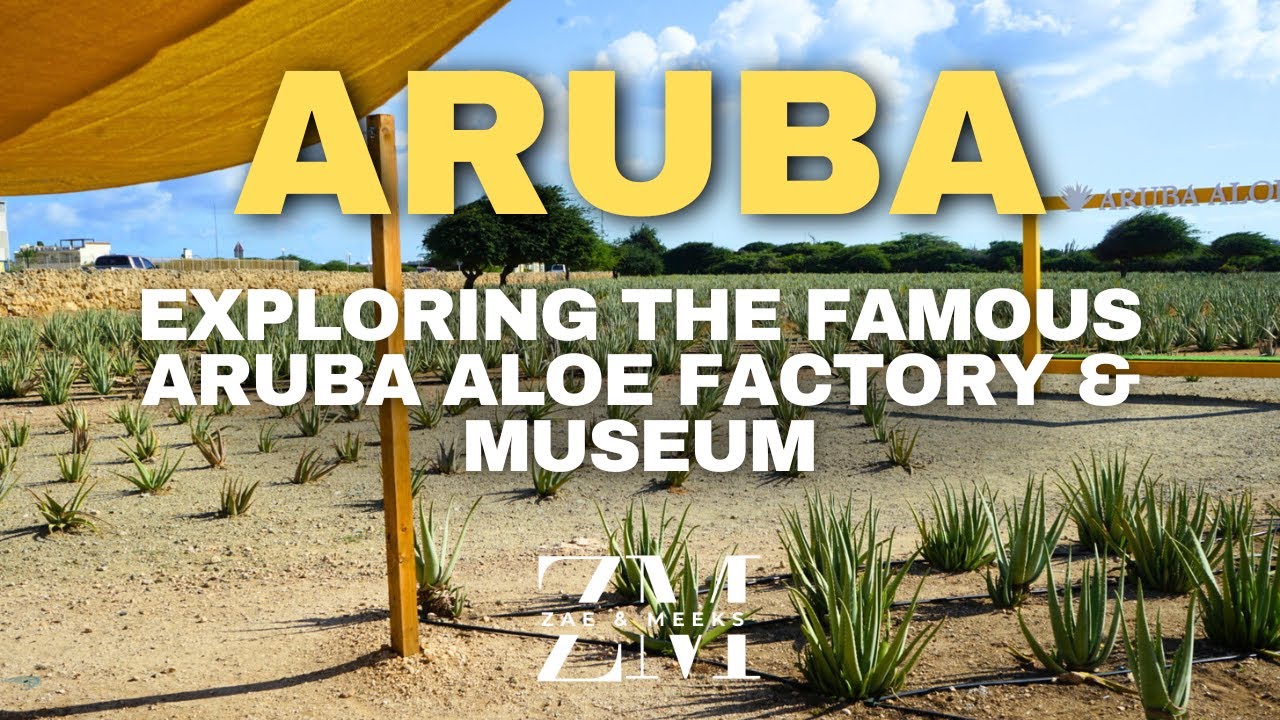 ARUBA: Exploring the Famous Aruba ALOE VERA Factory and Museum
