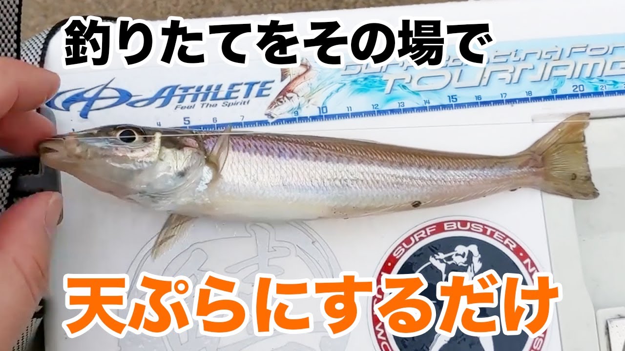 釣って採ってその場で天ぷらにして食べる