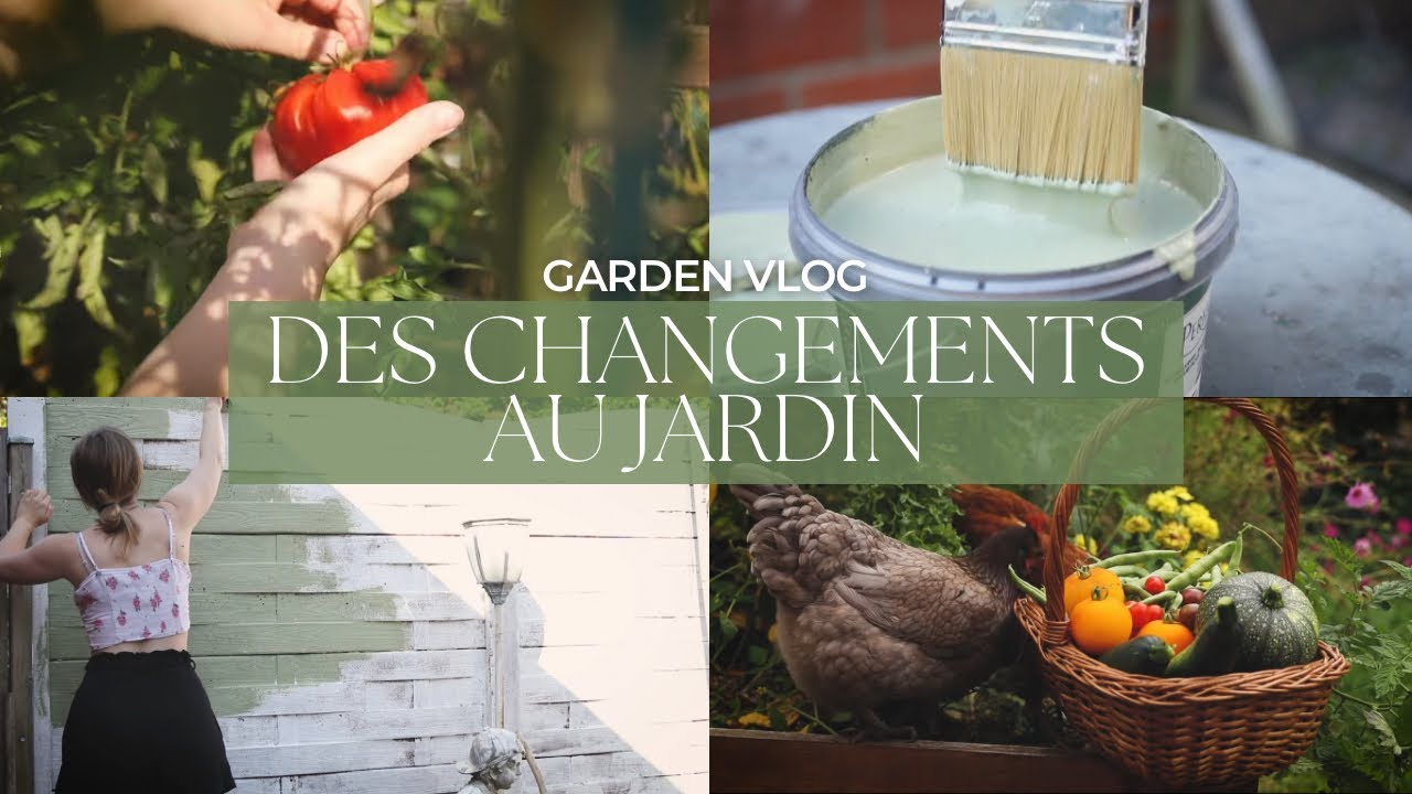 Slow Garden VLOG | Quelques changements au jardin avant l’automne