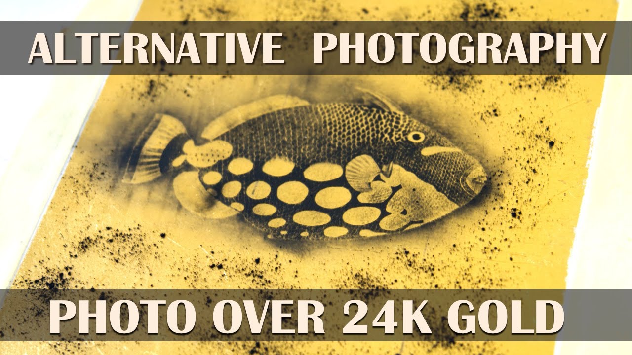 Alternative Photography: Resinotype Prints on Real 24K Gold Background