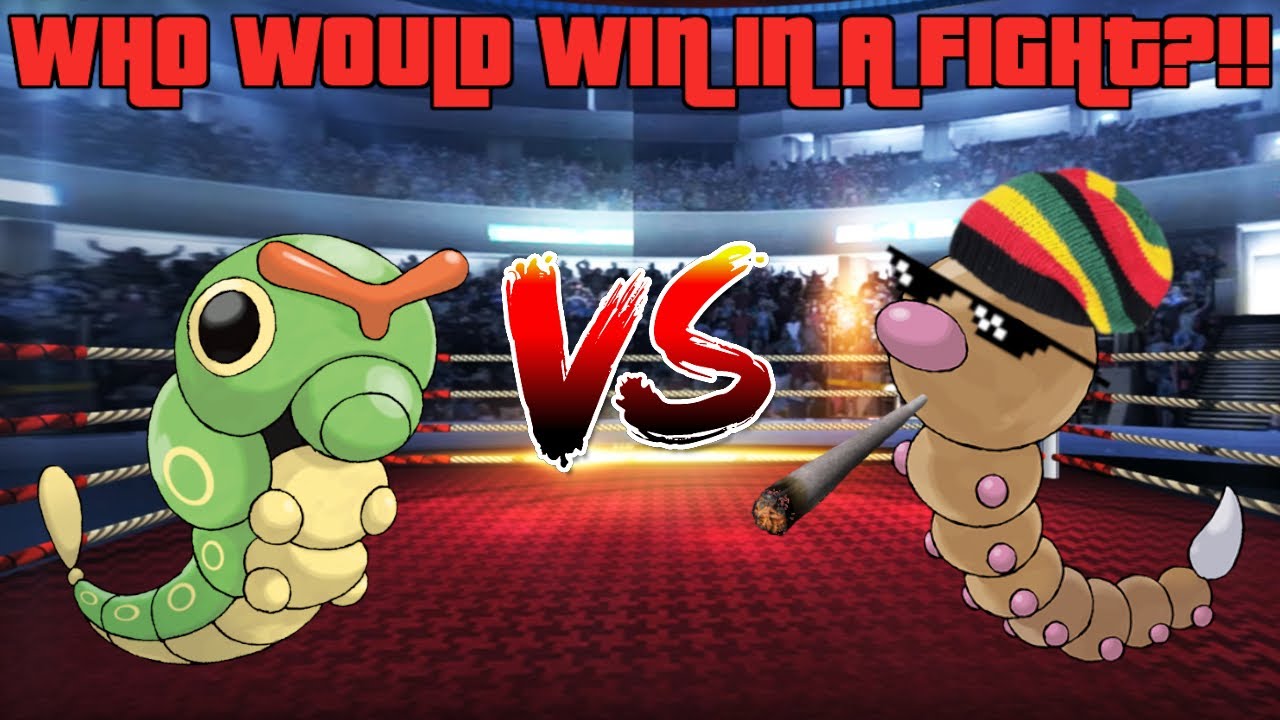 WHO WOULD WIN IN A FIGHT??!!: WEEDLE VS CATERPIE