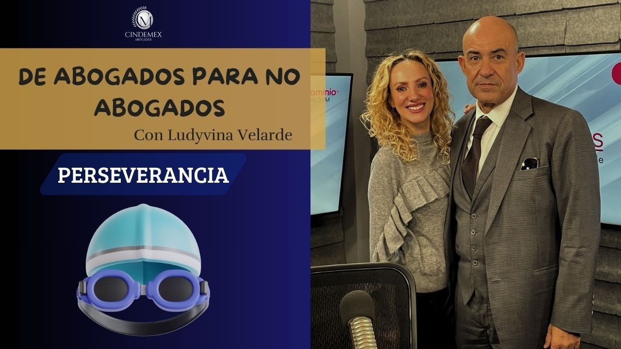 De Abogados para No Abogados | Perseverancia