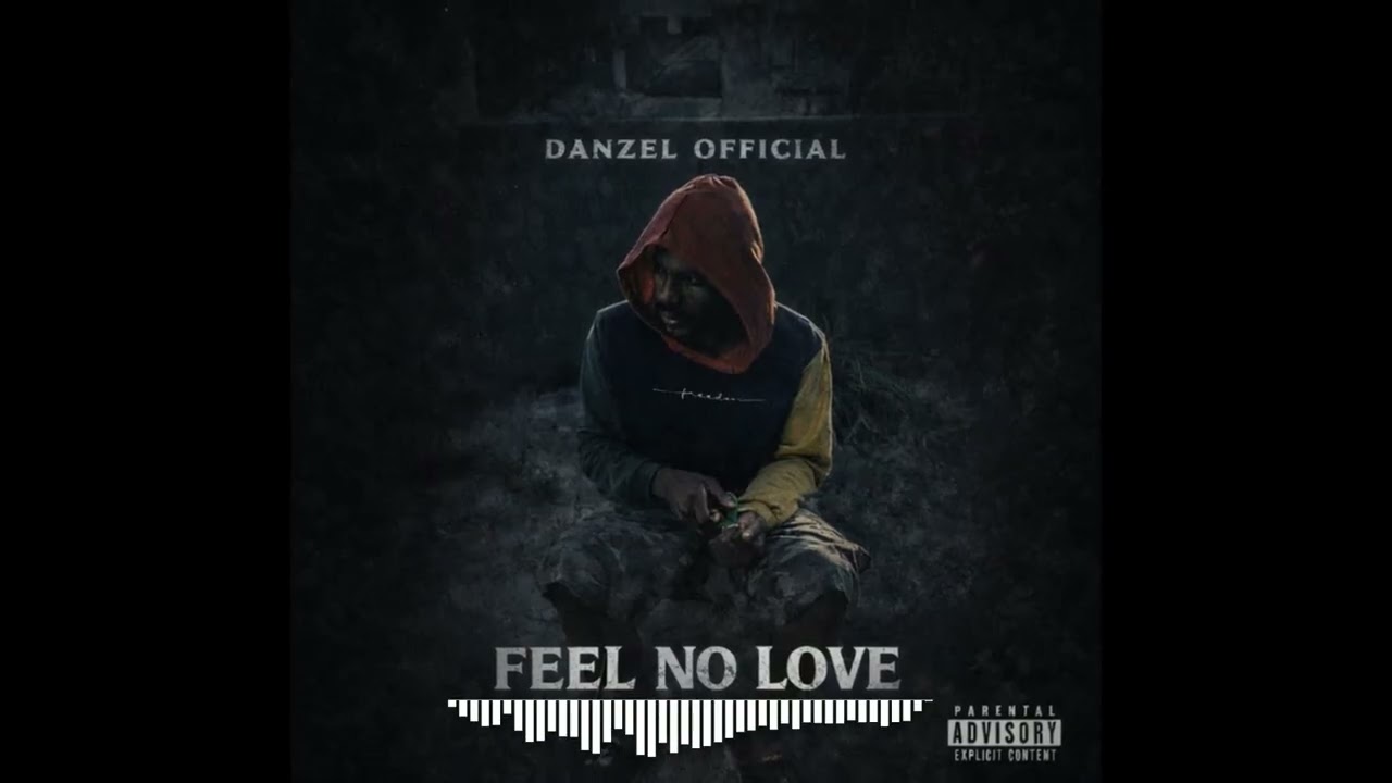 Danzel Official - Feel No Love (Official Visualizer)