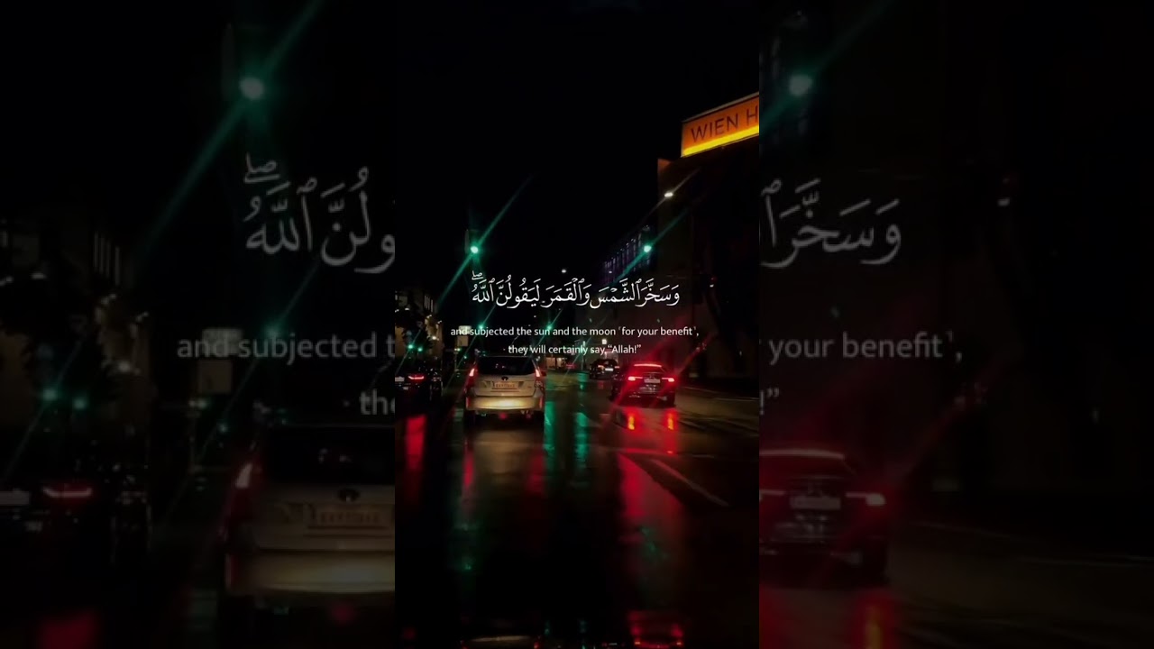 #duet #duet #cornichedoha #cornichedoha #duetlovesongs #love #dohacorniche #lovesongs #sabr