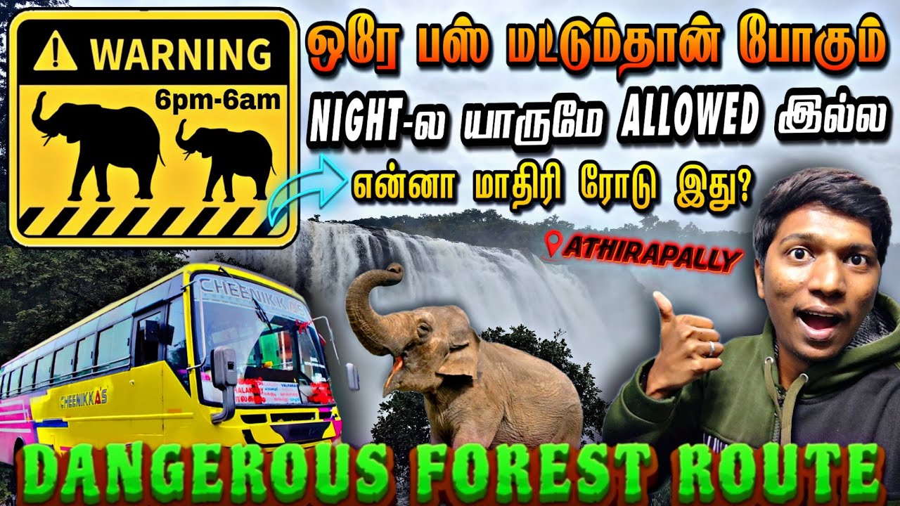 🔥ONLY BUS TO RUN IN THIS THRILLING FOREST ROUTE!!! VALPARAI-ATHIRAPALLY 'Forest Rider'|Naveen Kumar