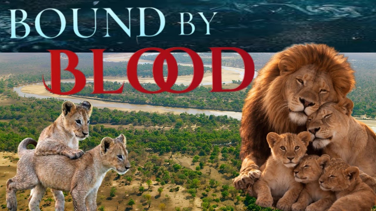Bound By Blood | The Nsefu Pride of Luangwa River | Lion Pride Documentary
