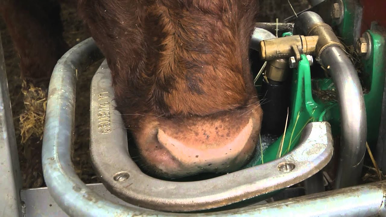 Comment protéger du gel canalisations et abreuvoirs