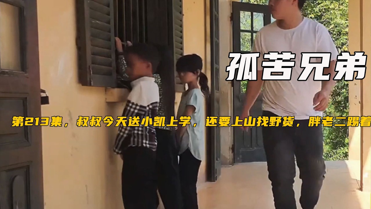 第213集，叔叔今天送小凱上學，還要上山找野貨，胖老二踢著足球不亦樂乎《孤苦兄弟》