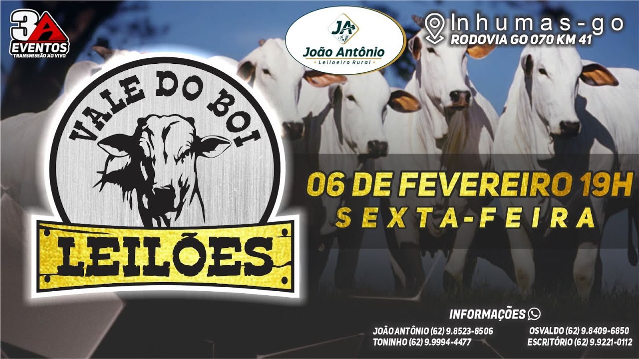 VALE DO BOI LEILOES - INHUMAS GO  - LEILAO VIRTUAL E PRESENCIAL -  06 DE  FEVEREIRO 2026