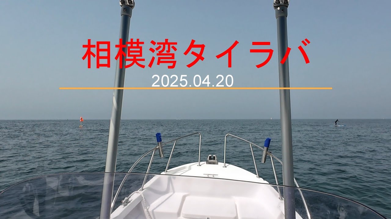 相模湾タイラバ釣行で本命不在だったが、嬉しいゲストに遊んでもらいました！レンタルボートで亀城礁の周辺を魚探を頼りにドテラ流しでウロウロ。
