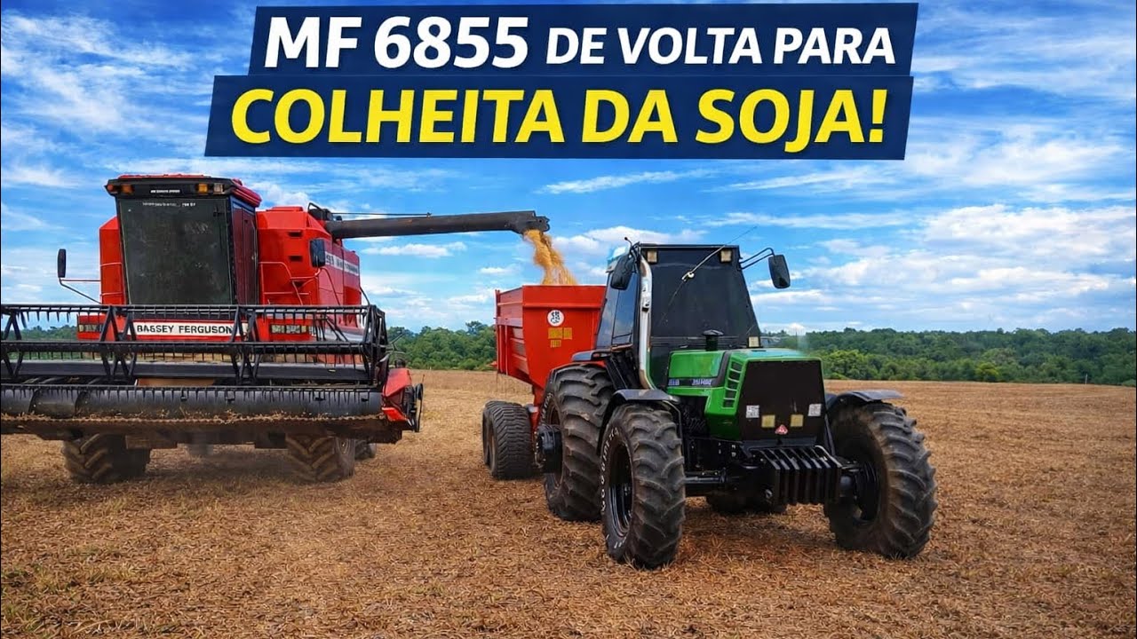 MF6855 E JD1175 ENTRARAM EM AÇÃO NA COLHEITA DA SOJA!