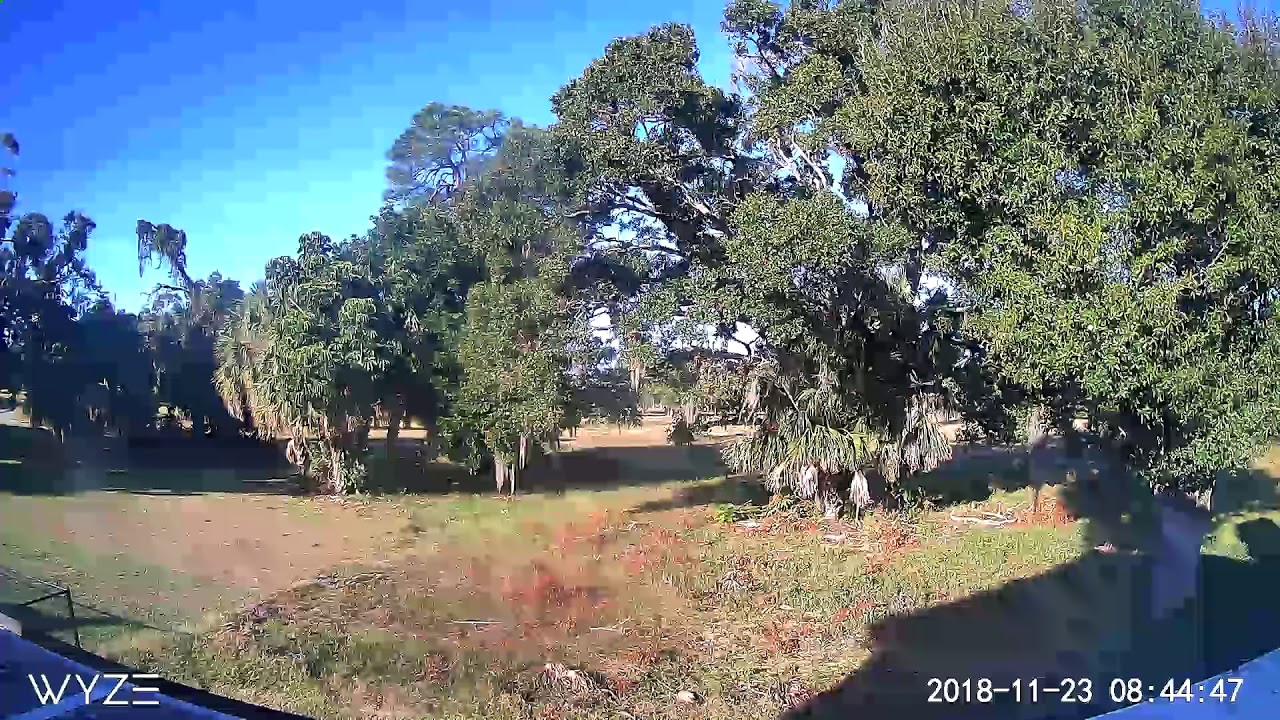 12 Hours Time-Lapse in 24 Seconds Wyze Cam Pan 1080p Pan/Tilt/Zoom