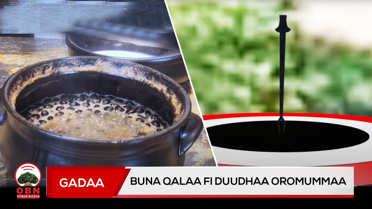 Gadaa ||Buna Qalaa fi Duudhaa Oromummaa||