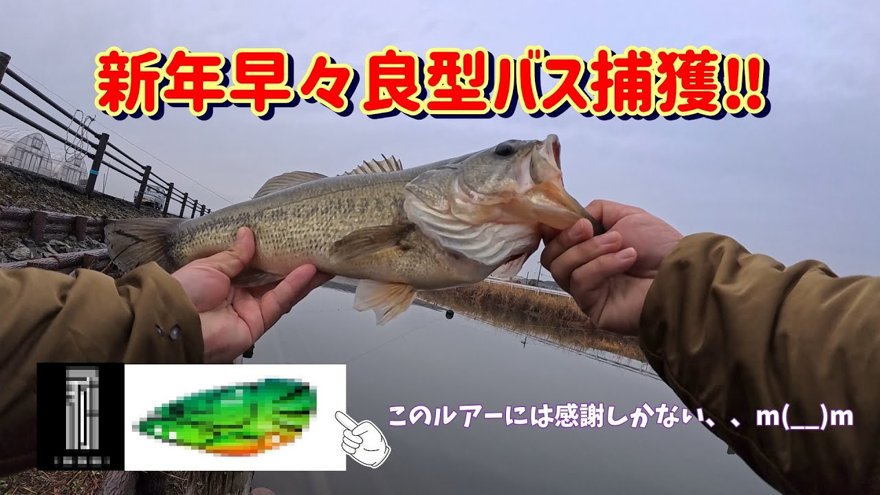 【九州】今年、前厄のワイが釣っていいんすか？