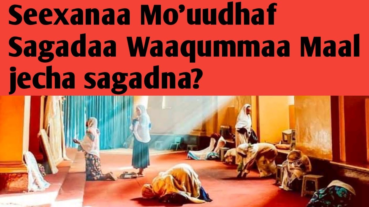 Sagada Waaqummaa Seexana mo'uuf maal jenne sagadna? Yoom sagadu qabna Dhangaa Lubbuu Media