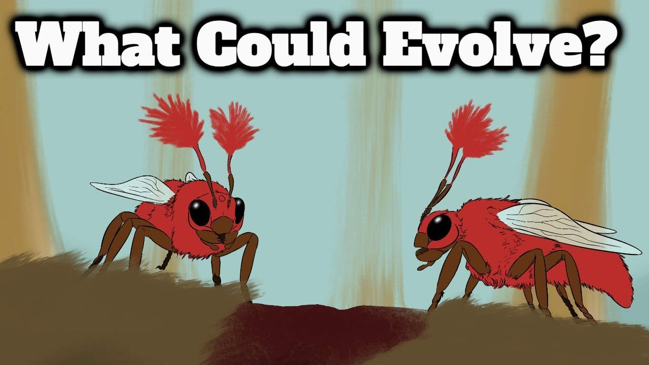 Seed World: Pigs, Bees & Earthworms
