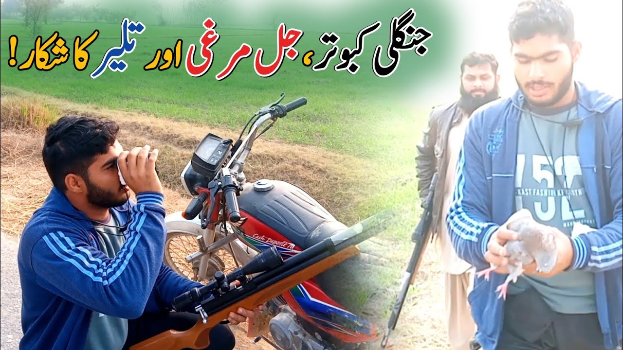 Long Range Pigeon,Black Starling And Moorhen Hunting|AirHunter PK