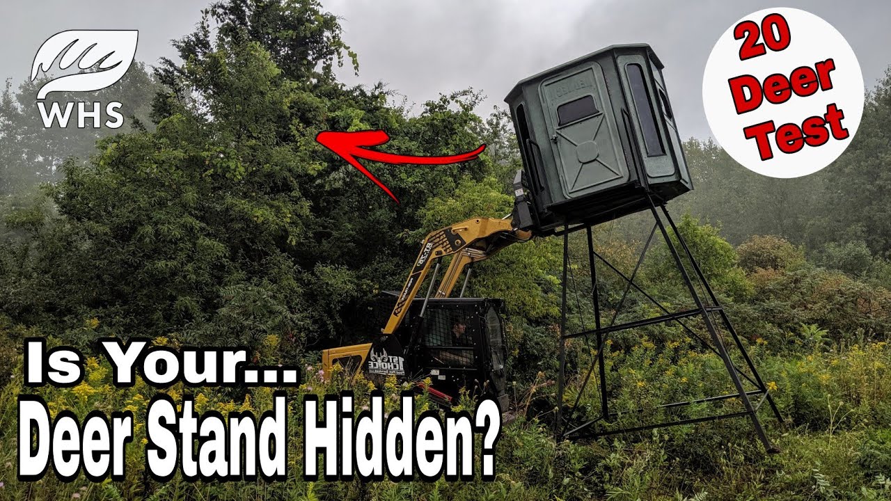 20 Deer Treestand Setup Rule