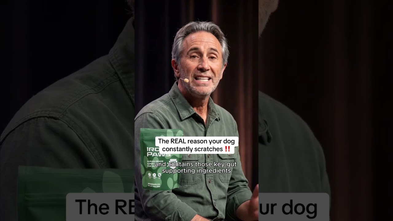 what is that one spot your dog loves to itch 