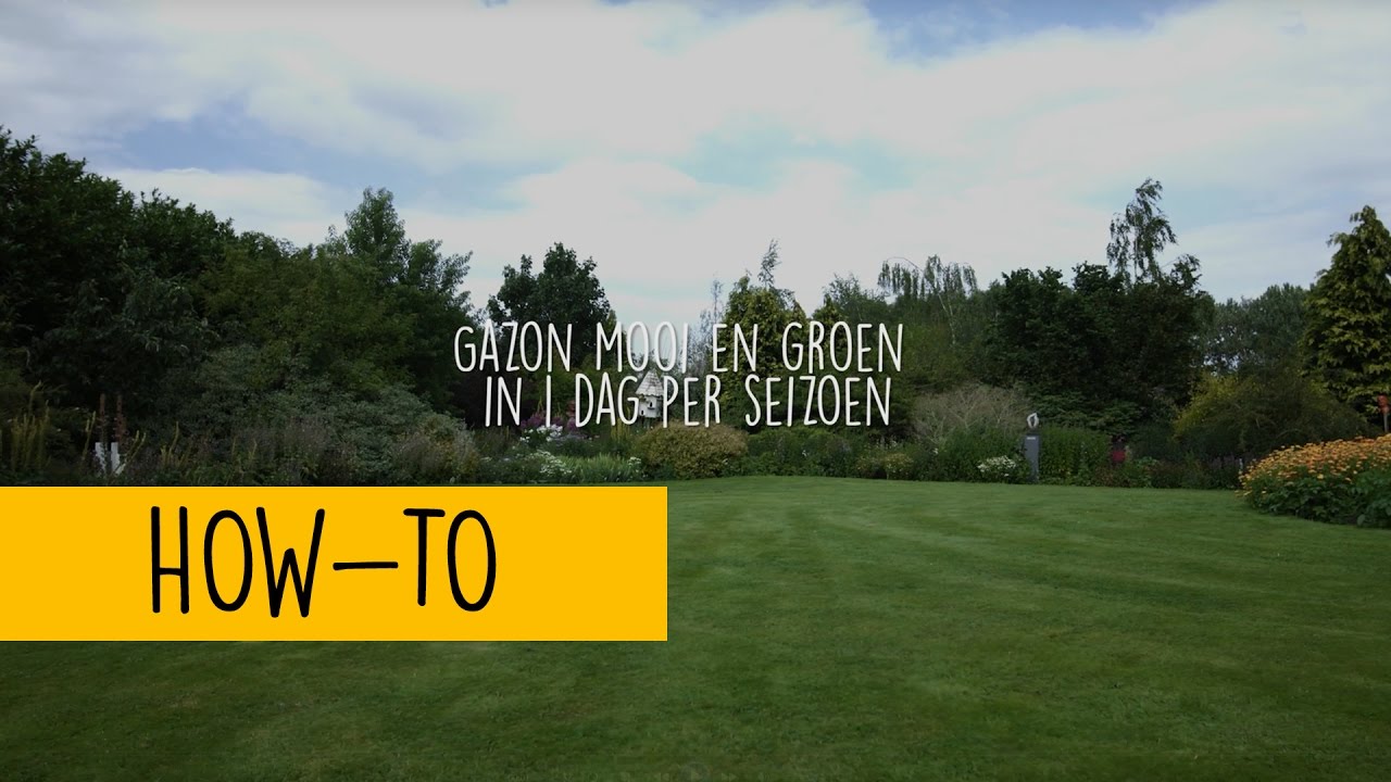 Het gazon mooi en groen in 1 dag per seizoen