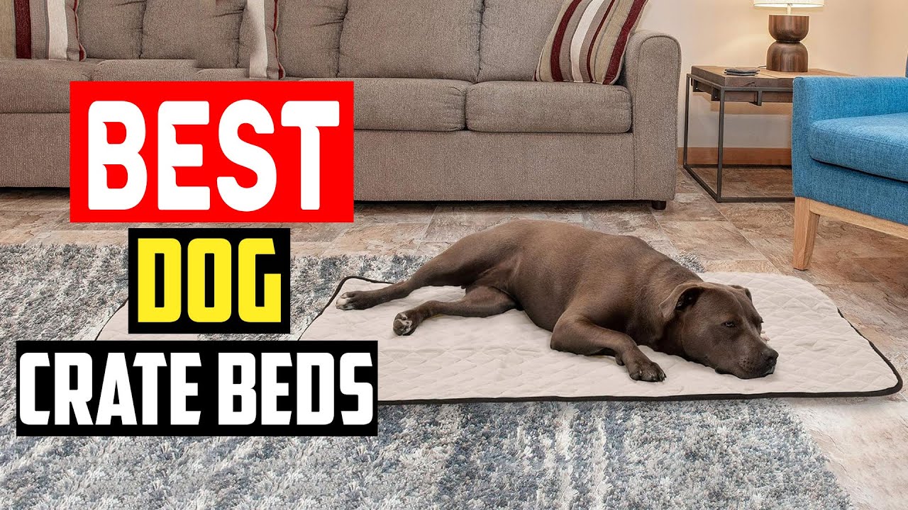 ✅Top 5 Best Dog Crate Beds To Make Your Dog&rsquo;s Den Cozier in 2025