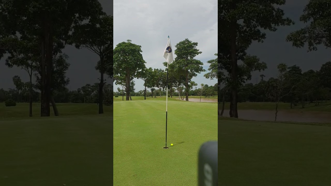 Nice Push Golf+1'sPaly 