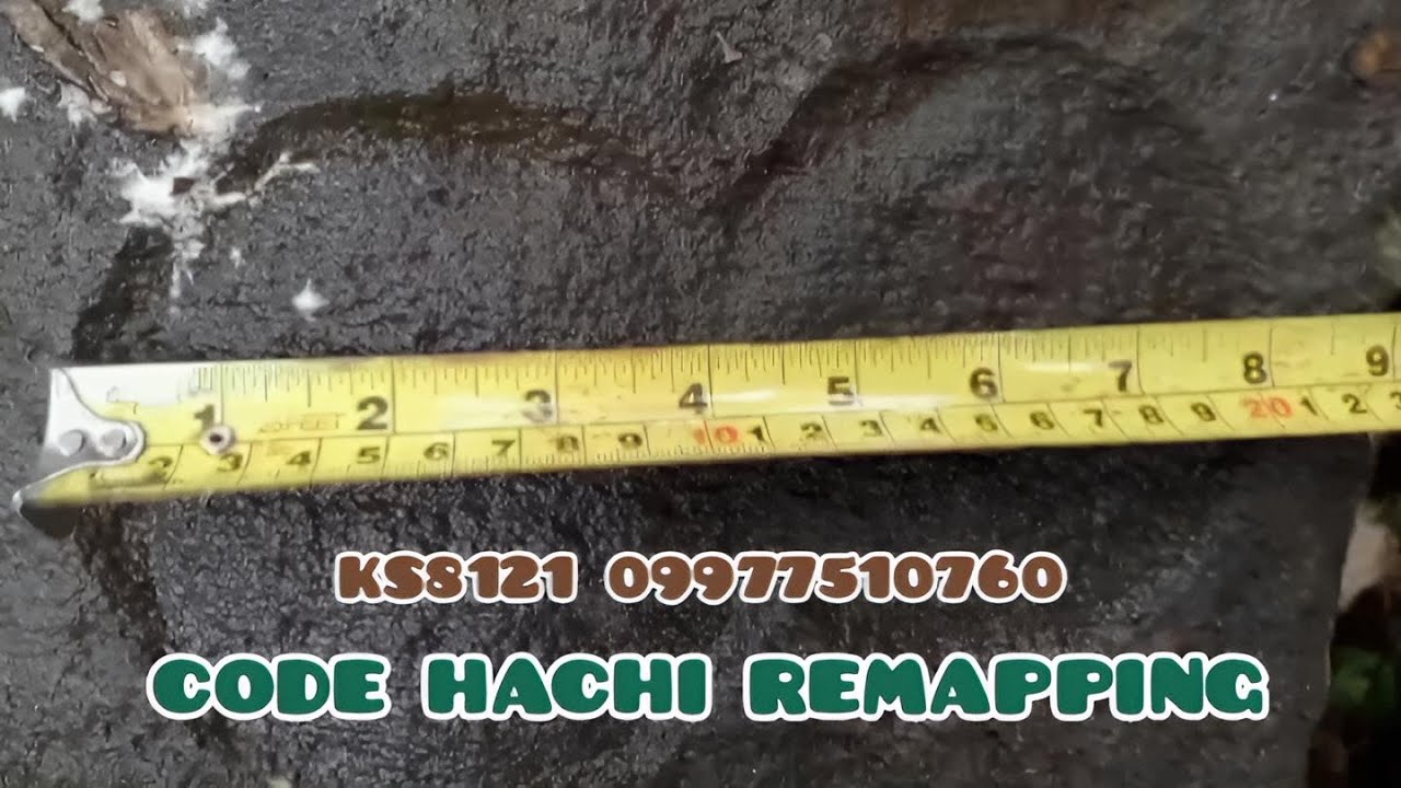 Numeric Code Hachi And Isometric Remapping