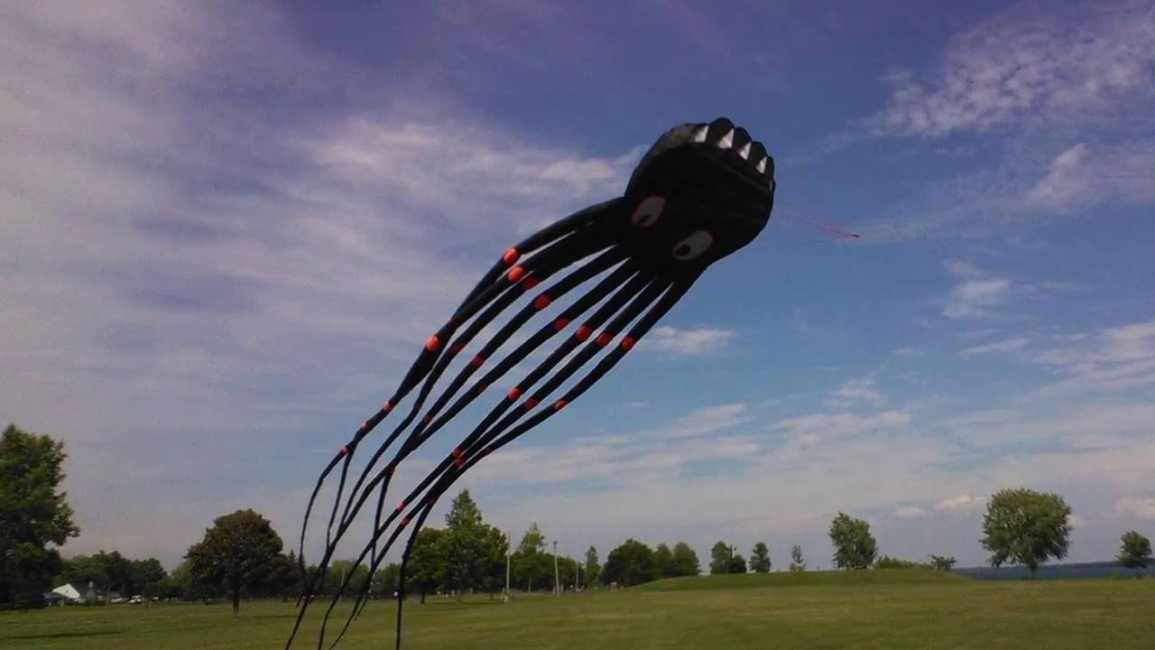 8m (26ft.) Octopus kite - Flight Test  # 1 - (with detailed specs)